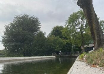 “10mila passi di salute” fa tappa a Reana del Rojale