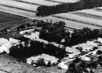 Torviscosa. Libro, sito e audioguide per conoscere il campo di prigionia 107