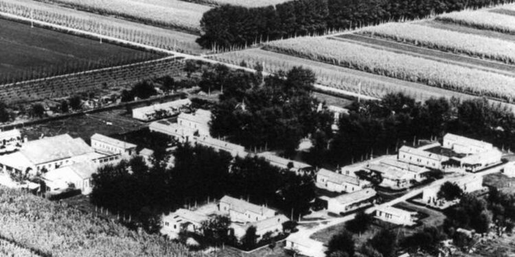 Torviscosa. Libro, sito e audioguide per conoscere il campo di prigionia 107