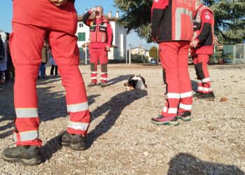 Buttrio, i cani da ricerca in azione a scuola