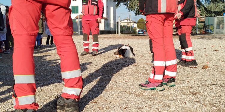 Buttrio, i cani da ricerca in azione a scuola