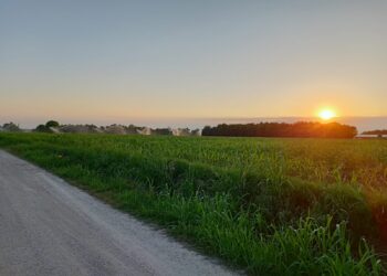Con “10mila passi di salute!”, a Bicinicco passeggiata guidata sul “Percorso Renati”