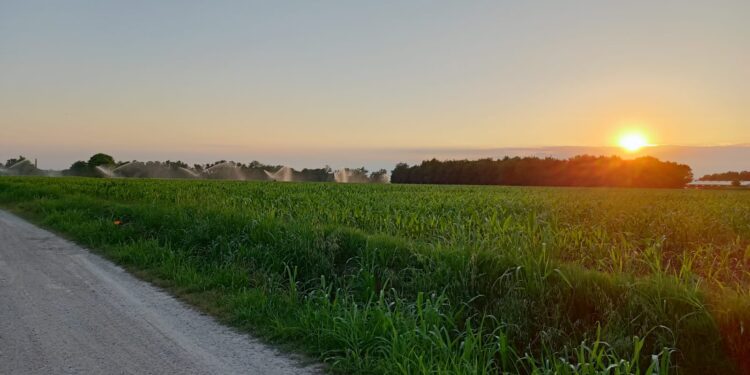 Con “10mila passi di salute!”, a Bicinicco passeggiata guidata sul “Percorso Renati”