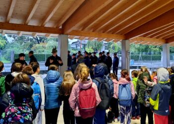 Camino al Tagliamento. Dalla salute allo sport, progetti per le scuole