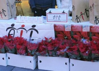 Il 6, 7 e 8 dicembre nelle piazze le Stelle dell’Ail