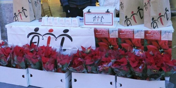 Il 6, 7 e 8 dicembre nelle piazze le Stelle dell’Ail