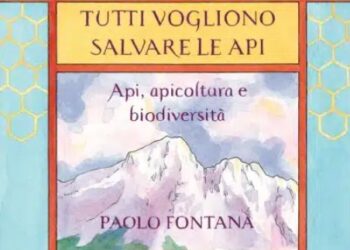 Fontana, Zannini e Floramo per “Autunno nei libri” a Moggio Udinese