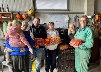 Roveredo di Varmo. La sfida di Denis. Pianta 25 mila bulbi di tulipani giunti dall’Olanda