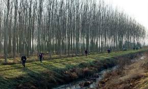 Campolonghetto. Il 6 gennaio la 43ª edizione della “Marcia dei Magi”