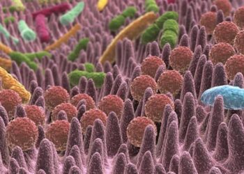 Microbiota intestinale, mondo di batteri per il nostro benessere. E si può curare