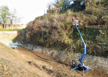 Palmanova. Bastioni puliti, 20 forestali all’opera