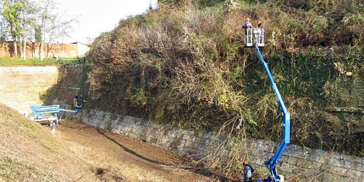Palmanova. Bastioni puliti, 20 forestali all’opera