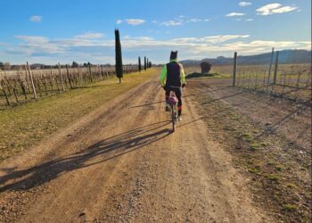 Ciclovia pedemontana FVG-3: promossa a pieni voti dai turisti
