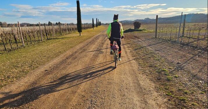 Ciclovia pedemontana FVG-3: promossa a pieni voti dai turisti