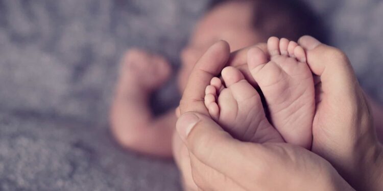 Centri aiuto alla vita, aiutate 200 donne. Nati 54 bambini