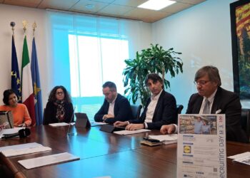 Lidl cerca cento persone. Recruiting day a Villa Manin