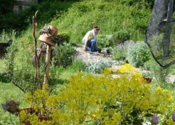 Zomeais di Tarcento. Giusi Foschia, ecco  “la signora delle erbe”