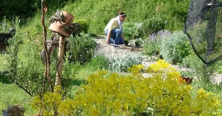 Zomeais di Tarcento. Giusi Foschia, ecco  “la signora delle erbe”