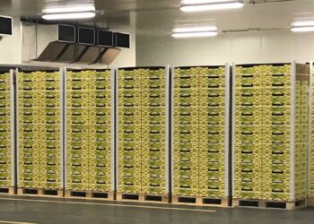 Dazi, in Usa l’80% dei kiwi friulani. Preoccupazione anche per il vino