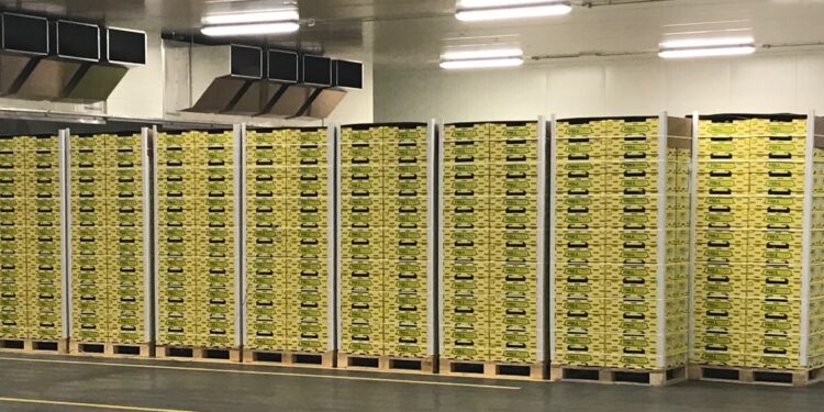 Dazi, in Usa l’80% dei kiwi friulani. Preoccupazione anche per il vino