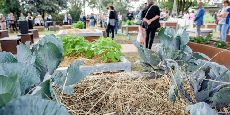 Muzzana del Turgnano. “Abc della potatura”, corso per apprendisti agricoltori