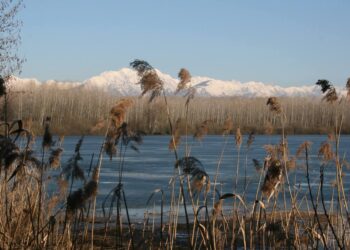 San Daniele-Ragogna, passeggiata guidata sul lago il 22 marzo