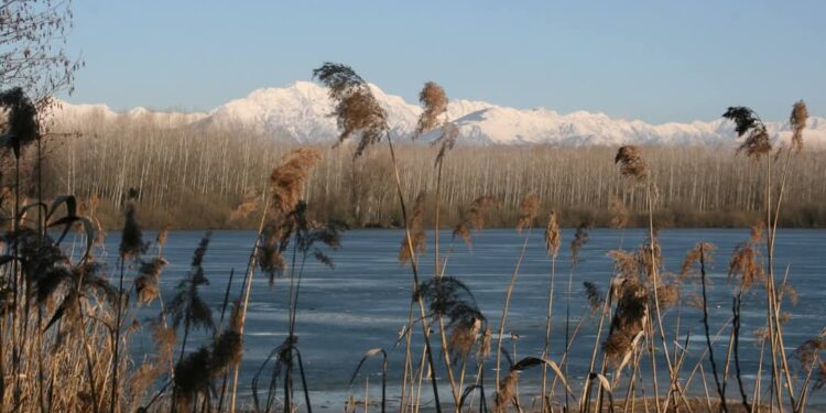 San Daniele-Ragogna, passeggiata guidata sul lago il 22 marzo