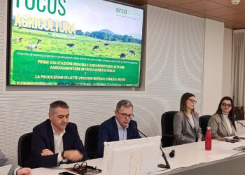 Agricoltura, aziende più strutturate. Aumentano i lavoratori