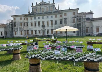 Codroipo. Torna “Nel Giardino del Doge Manin”, tra piante ed eventi