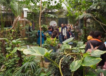 Riaperta la Casa delle Farfalle di Bordano. Con il nuovo “Muffa”