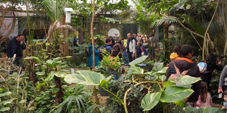 Riaperta la Casa delle Farfalle di Bordano. Con il nuovo “Muffa”