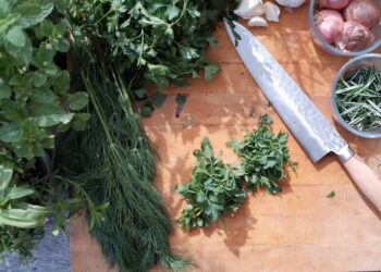 Andar per erbe. Camminate tra natura e tradizioni