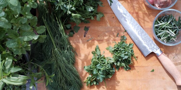 Andar per erbe. Camminate tra natura e tradizioni