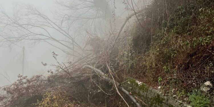 A Porzûs disagi dopo la frana anche per i pellegrinaggi