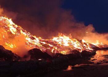 Rogo alla Bipan, ci vorranno giorni per lo spegnimento