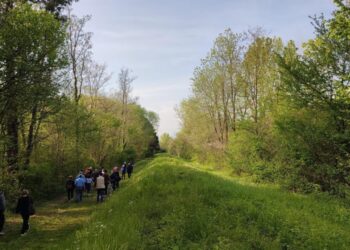 “10mila passi di salute”. Passeggiate guidate in tutto il Friuli. A Gorizia-Nova Gorica si inaugura un nuovo percorso