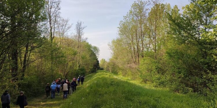 “10mila passi di salute”. Passeggiate guidate in tutto il Friuli. A Gorizia-Nova Gorica si inaugura un nuovo percorso