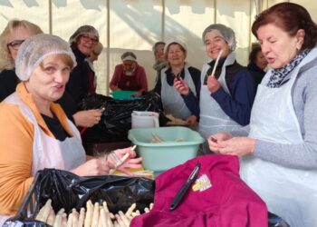 Il Gin Sparc debutta alla Sagra di Tavagnacco