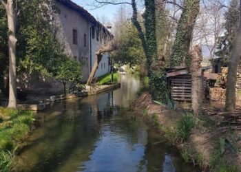 Tutti in bici a Remanzacco, alla scoperta del Parco del Torre e del Malina