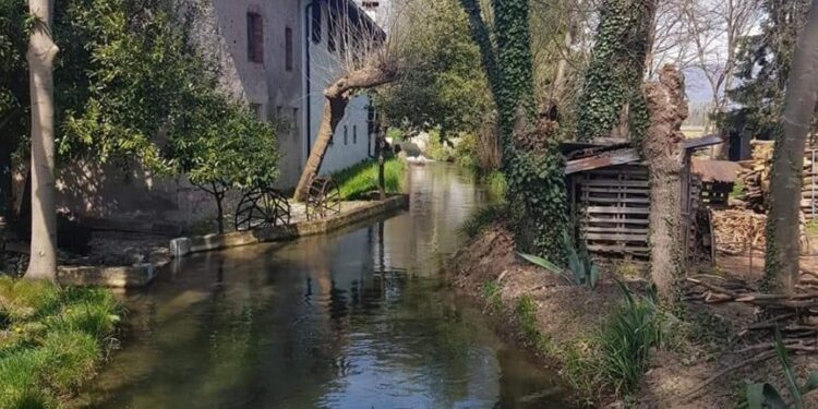Tutti in bici a Remanzacco, alla scoperta del Parco del Torre e del Malina