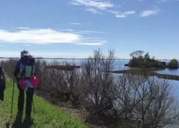 Da Muzzana ad Aquileia. 9° Cammino delle Palme sabato 12 aprile