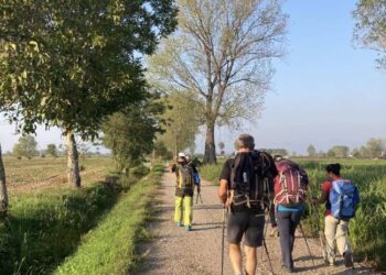 Salute e benessere a tutte le età, buone pratiche. Due convegni con Federsanità Anci Fvg