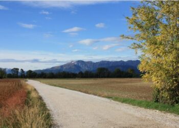 A Remanzacco una camminata con “storie di erbe”
