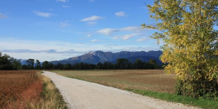 A Remanzacco una camminata con “storie di erbe”