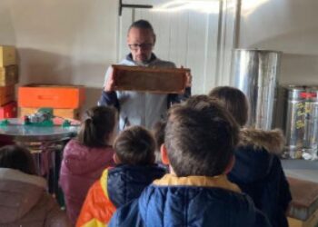 Mielerie aperte il 18 maggio. Tre anche in Friuli-V.G.