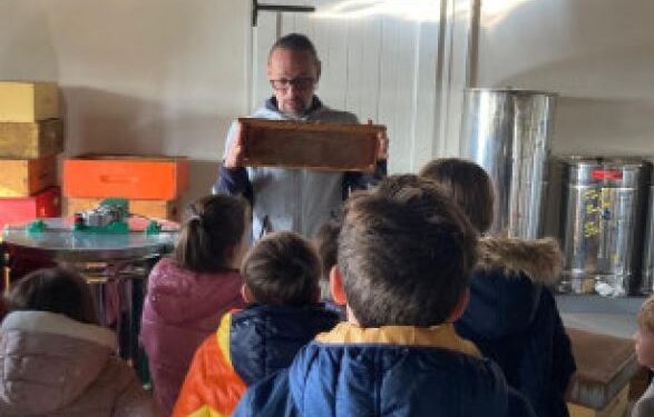 Mielerie aperte il 18 maggio. Tre anche in Friuli-V.G.