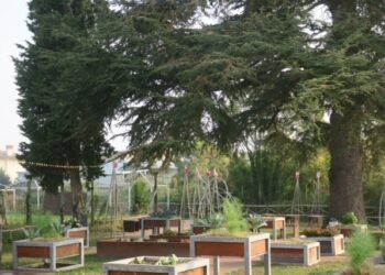 Orti collettivi sociali, esempio d’integrazione. La Regione stanzia fondi per i Comuni