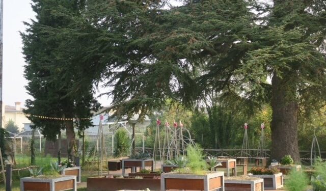 Orti collettivi sociali, esempio d’integrazione. La Regione stanzia fondi per i Comuni