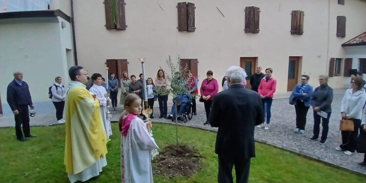 A Talmassons l’ulivo per il Papa «missionario»