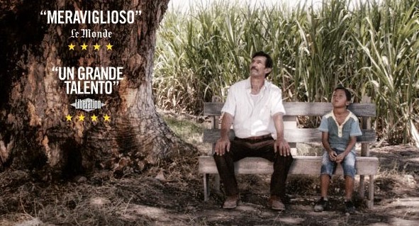 Tolmezzo. Al Cinema David Festival della sostenibilità con “Un mondo fragile”